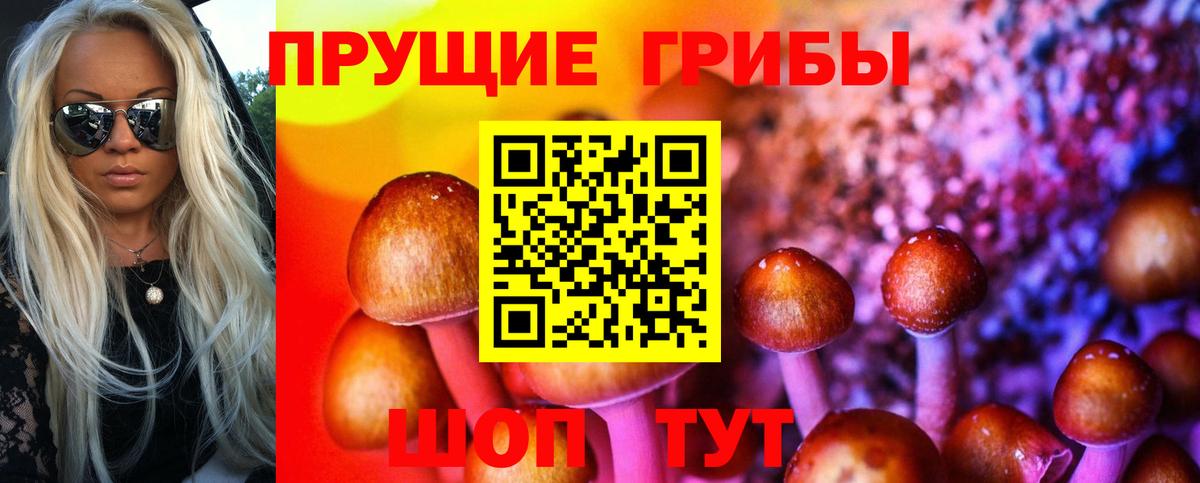 Псилоцибиновые грибы мицелий  Вход с VPN  Воркута 