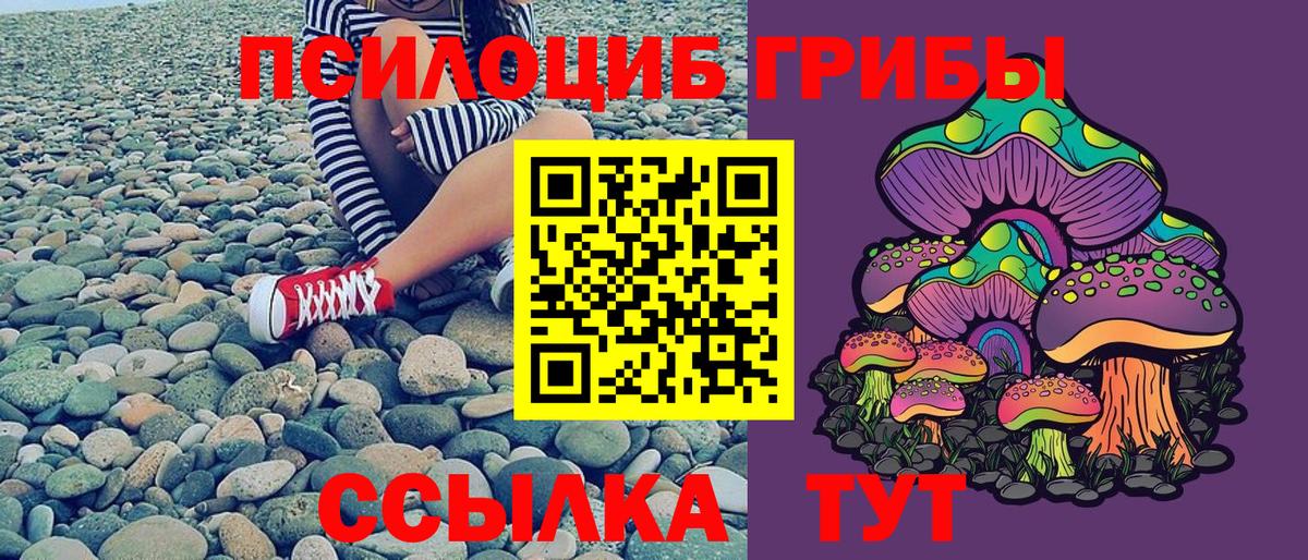 Псилоцибиновые грибы Magic Shrooms Воркута